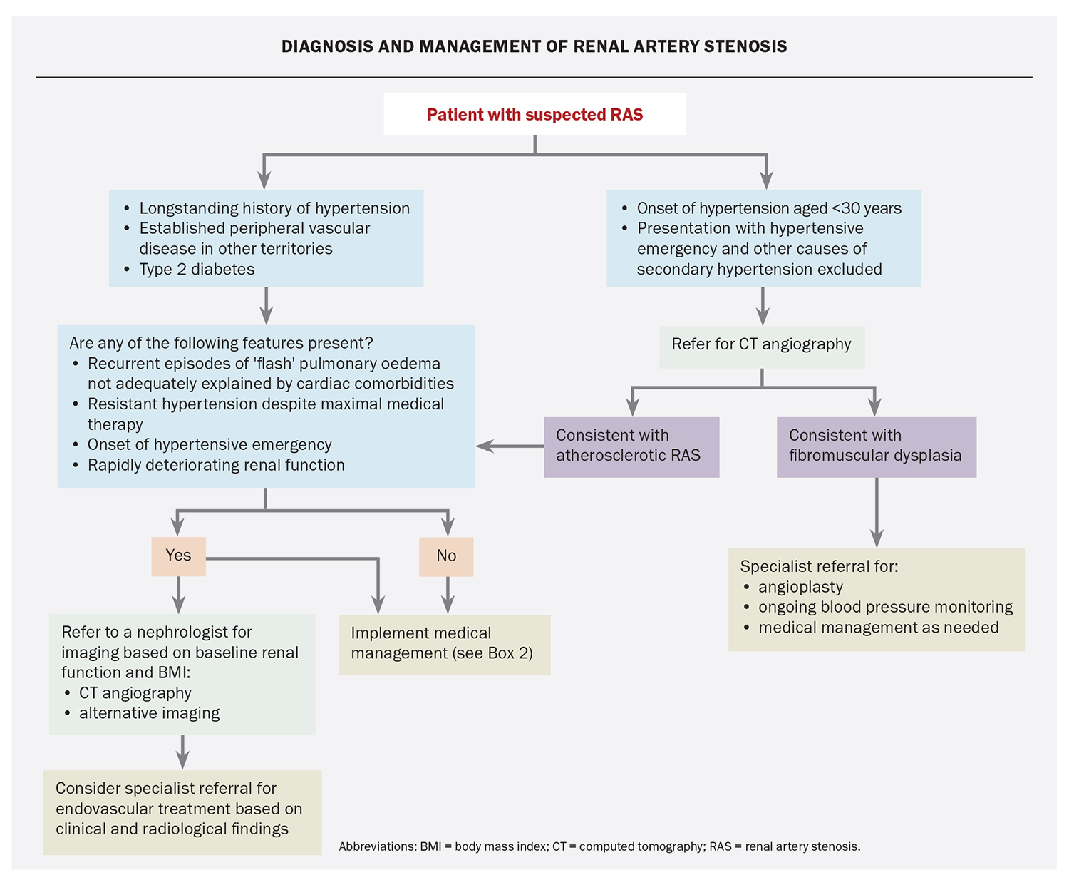 Renal Artery Stenosis Treatment